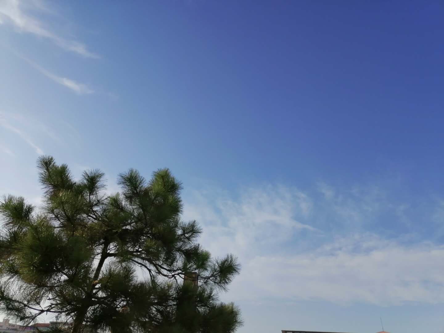 环保1.jpg